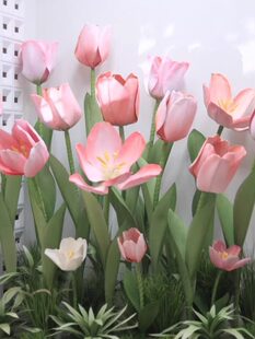 ��������������ˮEVA��ˇ����Y�����b����̈���ꐵ�䁙���