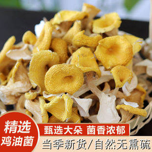 �u�;���؛��Ͼ����S�z���خa�S��Ģ���Ҝ����SĢ�㹽���l����