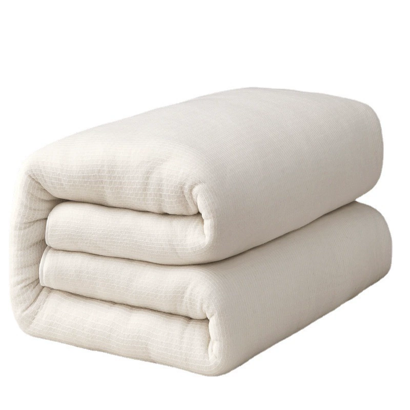 Cotton duvet, winter keep warm universal mattress