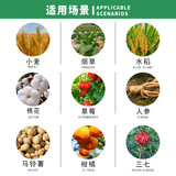 Deqiang Biological Beauty 100 миллиардов споры/граммы дезодориобактерий бактерий белый порошок корень гниения стериоцин 10G