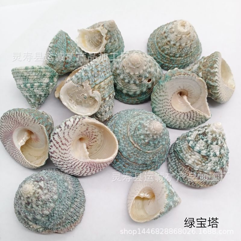 IMG_20210903_150206_副本