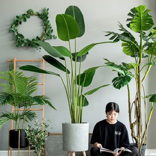 Wͷֲ٘GֲԔ[˽ؙ҃b쾰