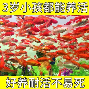 ���l���~���~����^�p�~���\���~��ˮ�~���l���B��С���~���B����