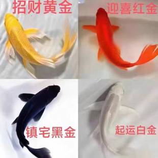 �~�^�p�~�S�\�����~���~�\����ˮ�~С�͵�ˮ�~���B�ͻ���\��