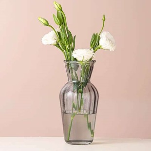 Wholesale Simple Plant Flower Tissue Bottle Home Hotel Dried Flower Decorative Glass Bottle Amazon in stock