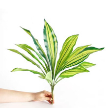 ���滨�Gֲ����ľ��Ƥ�mֲ����^�쾰�b��W�L�����پGֲ��֦