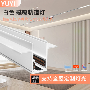 White Magnetic Absorbing Lamp Embedded Living Room No Main Lamp All-House Smart Osram Light Source Magnetic Absorbing Track Lamp