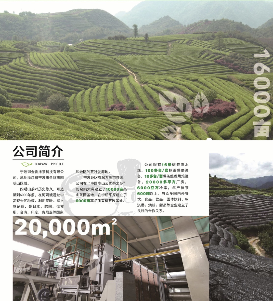 a5077b31f65527efe53cd407f08d56