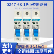 С͔·DZ47-63/1Pl՚_P6~63A΢͔·__Pl