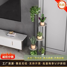 轻奢花卉花架子客厅落地式阳台花盆置物架室内电视柜旁植物摆放