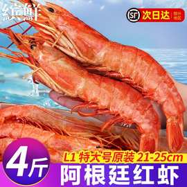 阿根廷红虾l1大红虾2kg进口特大新鲜冷冻海鲜水产船冻大虾4斤