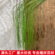 ����پGֲ��������֦���ϱڒ������z��̨��Y������ˇ�廨�쾰