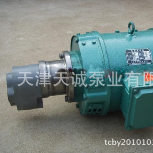 直流齿轮泵TZL/直连直流齿轮泵/轴承润滑齿轮泵/大流量齿轮泵