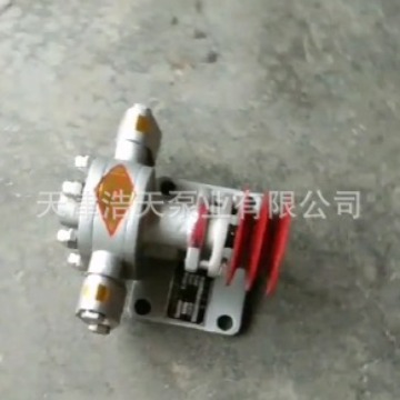 皮带轮豆渣齿轮泵TDDZ 蜂蜜 花生油 胶水 聚氨酯 沥青 树脂齿轮泵
