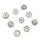 in stock Fisheye Shell Button Sweater Crafts Button Lace Taro Shell Button Thin Edge Black Fisheye Button