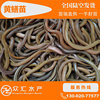 黃鳝苗 鳝魚苗 黃鳝種苗 花鳝苗 本地鳝魚苗 淡水養殖魚苗活體