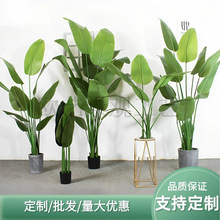 ���ͷ���ֲ�����˽������B���Լٻ����҃ȿ͏d�Gֲ�쾰�^�b[��