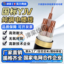 �����ͻ�YJV�^����|��3/4/5о4/6/10/16ƽ��늾����~�����Դ��