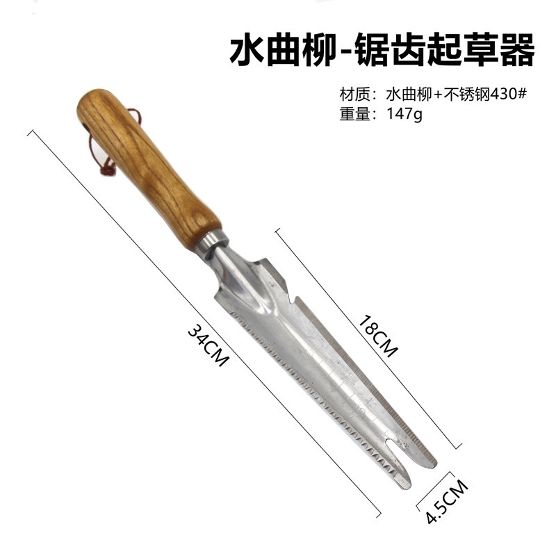 Эш - Чертежник Пилозуба