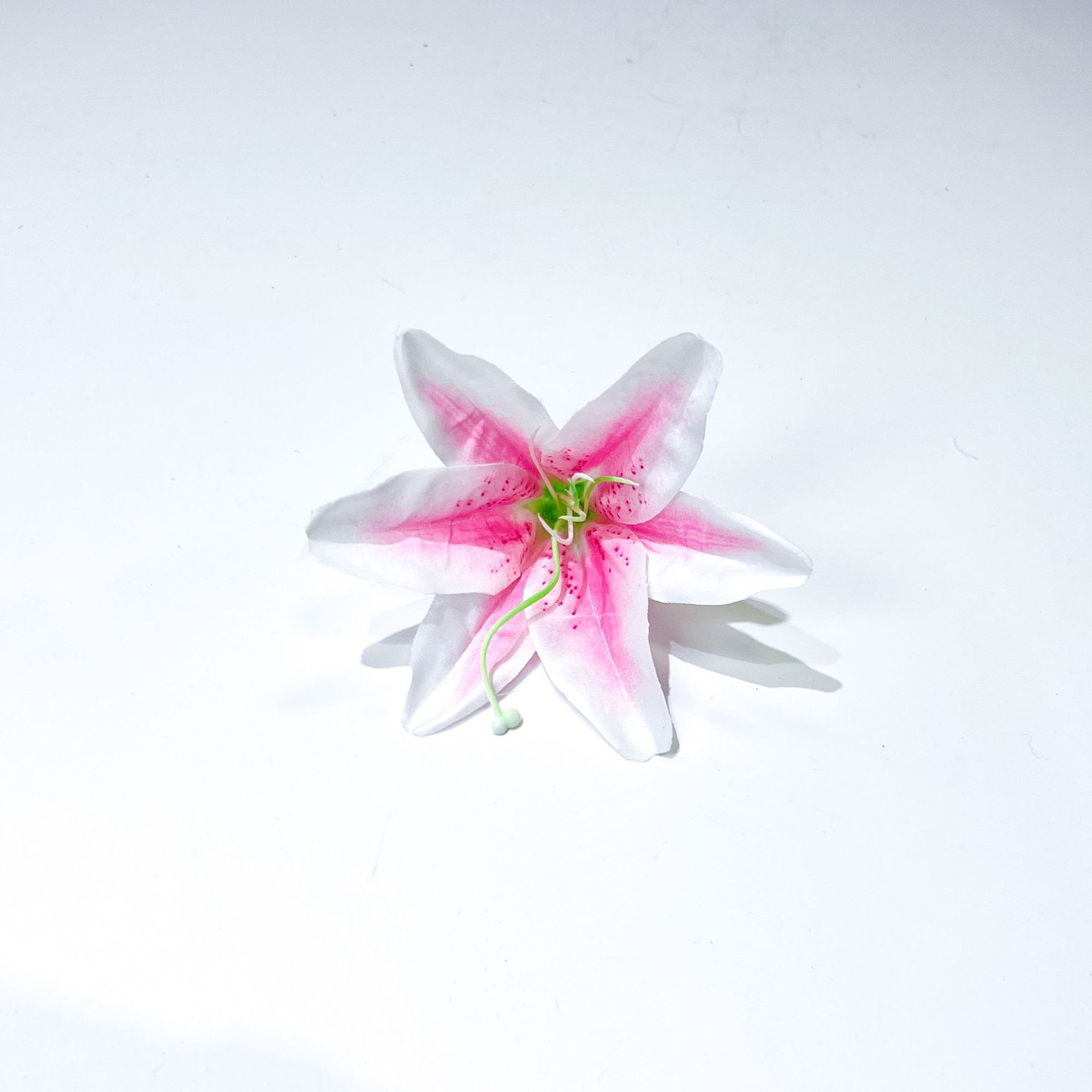 라이트 핑크 (코어 준비)