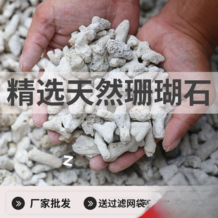 Coral Stone Filter Water Purification Filter Material for Seafood Pool and Seafood Tank, Coral Sand Fish Pond, Coral Bone Complete Set of Materials
