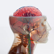 3d��ӡ����ģ�Ͷ��Ƙ�֬�������ٽ�ģSLA���SLM�ӹ�