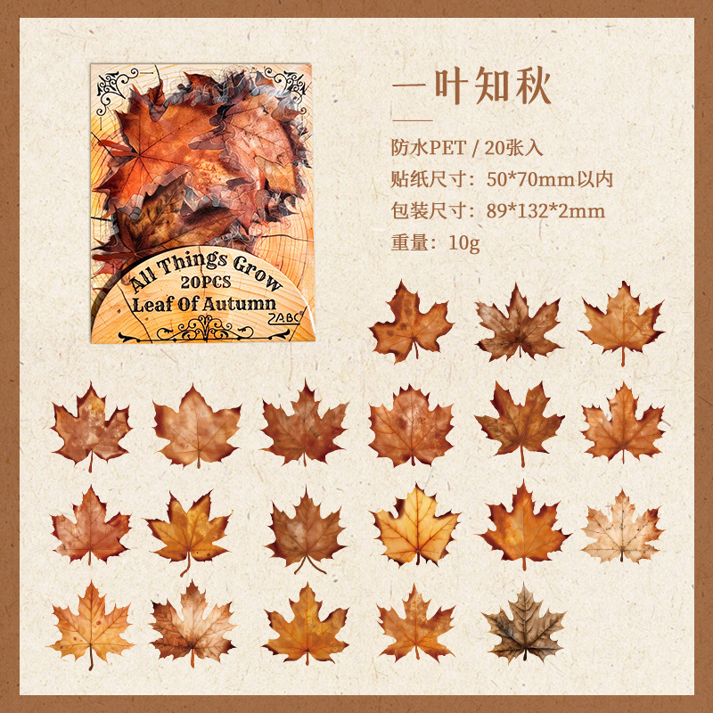 Todas las cosas crecen serie transparente impermeable pet pegatinas de tela de mano bolsas diy material de decoración de plantas pegatinas de papelería animal