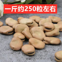 �ձ�С̖��Ƥ�㽶�Q���N���ձ���С���߮a����r�����_�h��