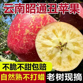 块茎类;其他蔬菜;瓜果类