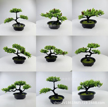 ����ӭ�����辰ֲ�����ԼҾ����P�[���q�ݎ��ɹ����F�ɿ羳���滨