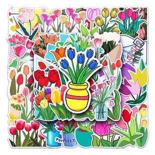 50�������㻨�T�f���Կ羳С���»��乾��DIY�֙C�������N����ˮ