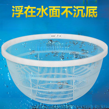 鱼虾苗分级筛塑料鱼筛子圆形大小鱼苗分类朝筛寸纱鱼泥鳅龙虾