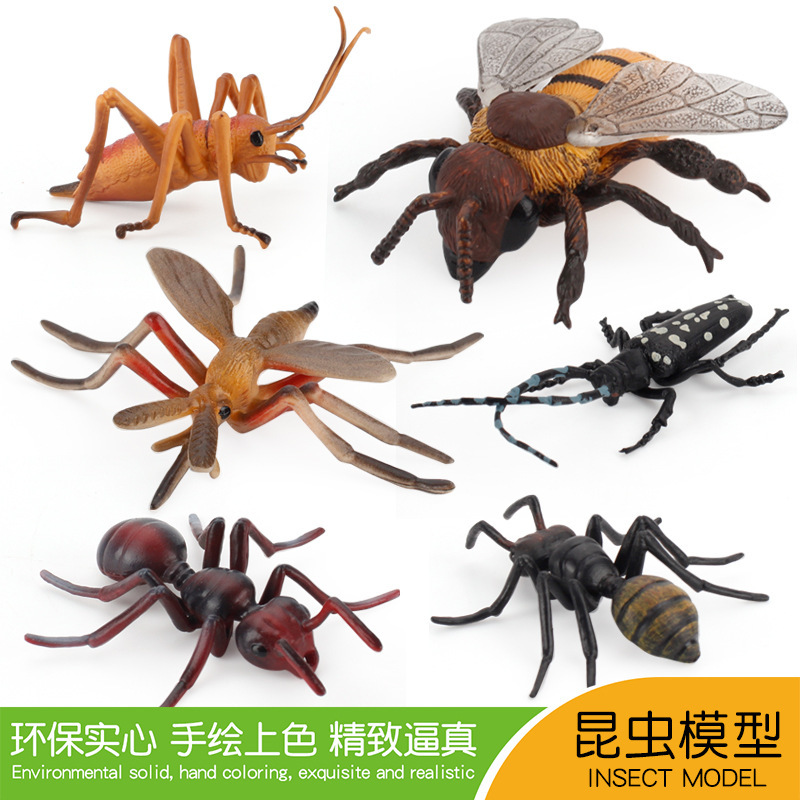 外貿兒童仿真節肢動物模型蚊子蟋蟀蜜蜂天牛昆蟲擺件科教認知玩具