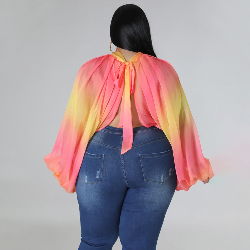252g Weight Long Sleeve Sleeve Length Regular Sleeve Sleeve Type Spandex, Polyester, Chiffon Fabric Type Long Top Length Blouse Tops Type Daily, Street Occasion Round Neck Neckline Regular Fit Fit Type Color Block Pattern Spring&Summer Season Streetwear Style Blouse Long Sleeve Plus Size Tops Streetwear Color Block 51