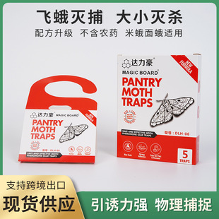 �羳���l�w�������T��������ӡ�ȹ������皢С�w�x��ω֧��LOGO