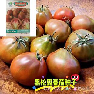 ¶ѷNӴﲥN̨߲˹ϹN̨׷NֲԭbƷ