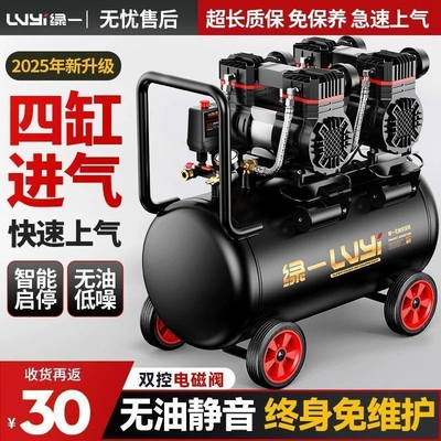small 220v air pump, Hava kompressorları - our-9l-product-compares-favorably-to-competitors-falsely-labeled-12land-so-on-electromagnetic-valve-series-truly-oil-free-and-maintenance-freeextra-thick-safe-and-explosion-proof-do-not-purchase