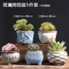 5 colorful thumb pots