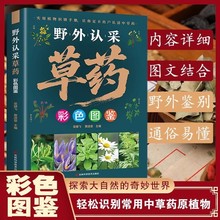 野外认采草药彩色图鉴书籍轻松识别常用中草药原植物中医养生书