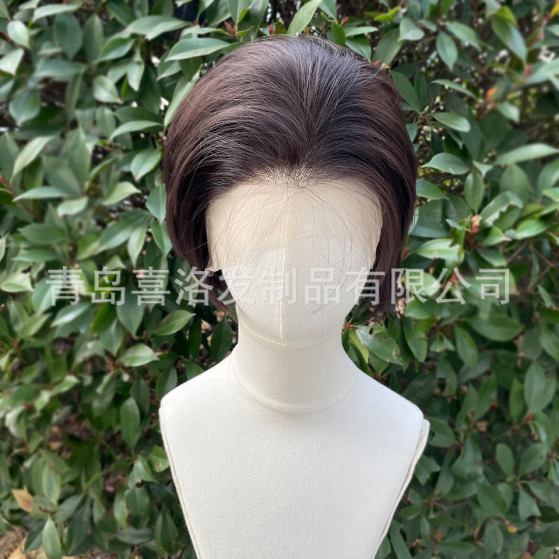 Foreign Trade Export 13X4 Front Lace Wig Natural Black Brown Layered Short Hair Star Same Style High Temperature Silk