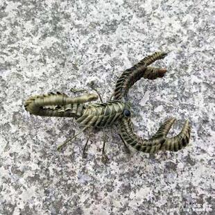 �Ĵ��ؾ�ʡ�����z�ֹ�ˇƷ����ϐ���Ą���ɫ�o��Ʒ��һ�̎����Y��