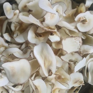 ����Ҭ ��Ҭ���Ҝ����� 1000g60Ԫ���] ��ș��