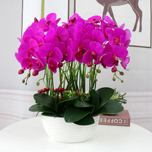 �b[��PU�����m���b���ԼҾ��Ʒ�͏d�ҕ���ٻ���c�[�O��