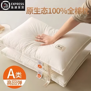 ĸ�뼉A�ȫ�����^�o�i׵��о������˯�߾Ƶ���о����һ���b���^
