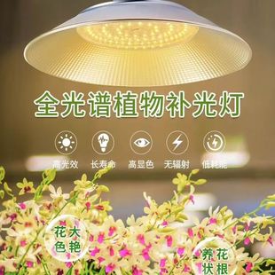 ledֲ���a������V�����L�����Bֳ�Ϲ��߲˶��⻨�ܹ������