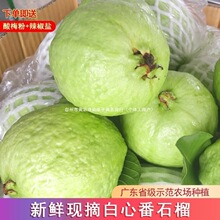 �V�|���ķ�ʯ�����Ř����Ƿ��ЋD����ˮ�����r��ժ���l�����]��