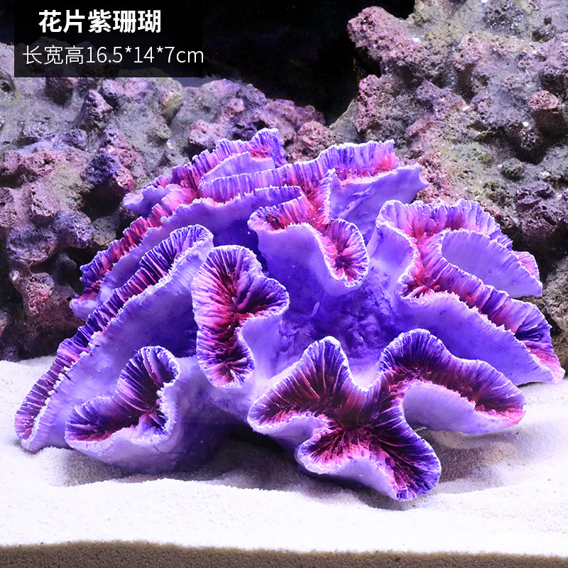 珊瑚1781