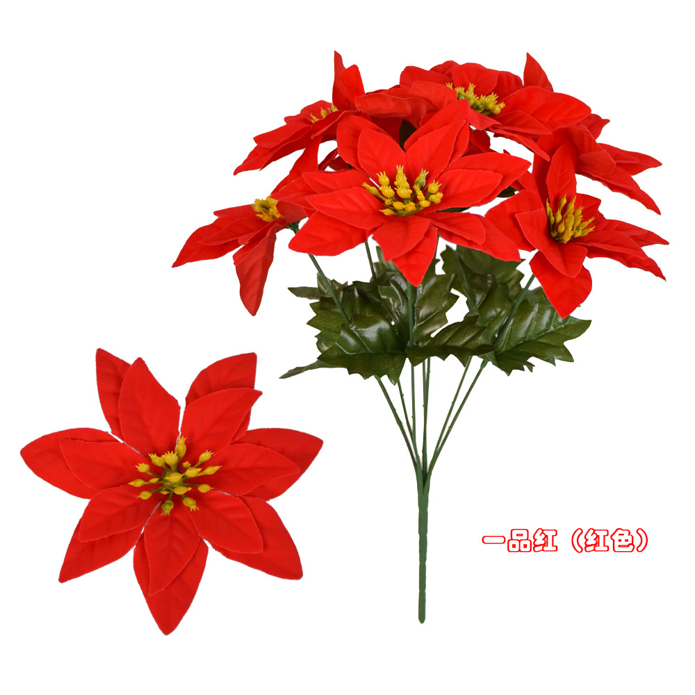 칠갈래 (빨간색)