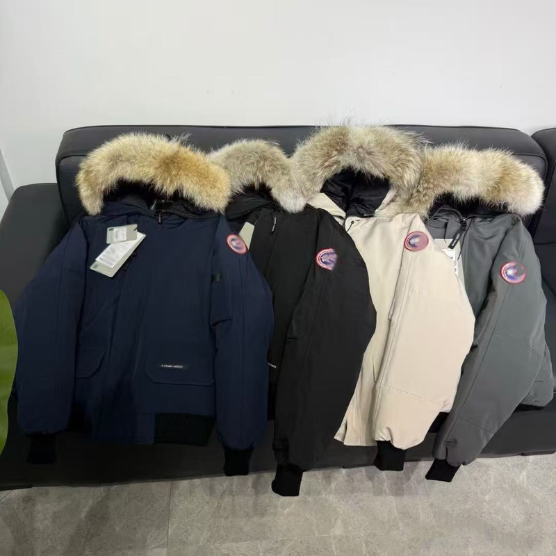 新款大鹅男女同款派克服冬季加厚01飞行夹克高端连帽保暖棉服外套|undefined