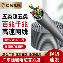 ������p���ο��ɔ_���~�W�����ø���CAT5e�p�g�W������100/300��